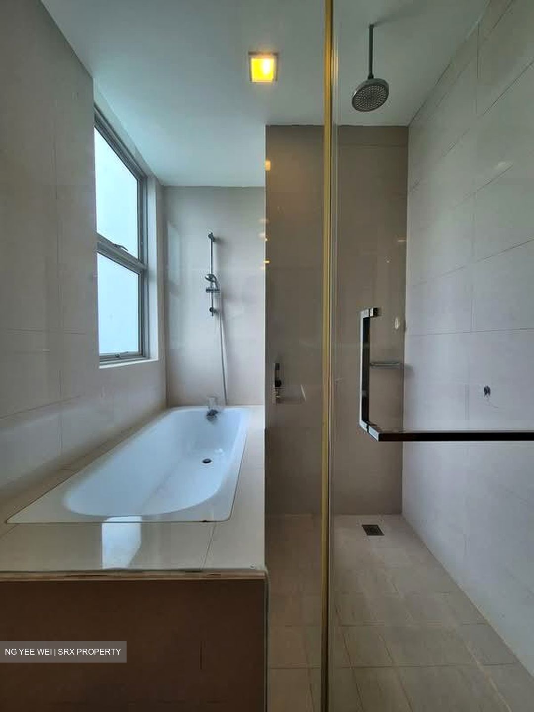 Nassim Regency (D10), Condominium #553855731